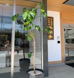 image14